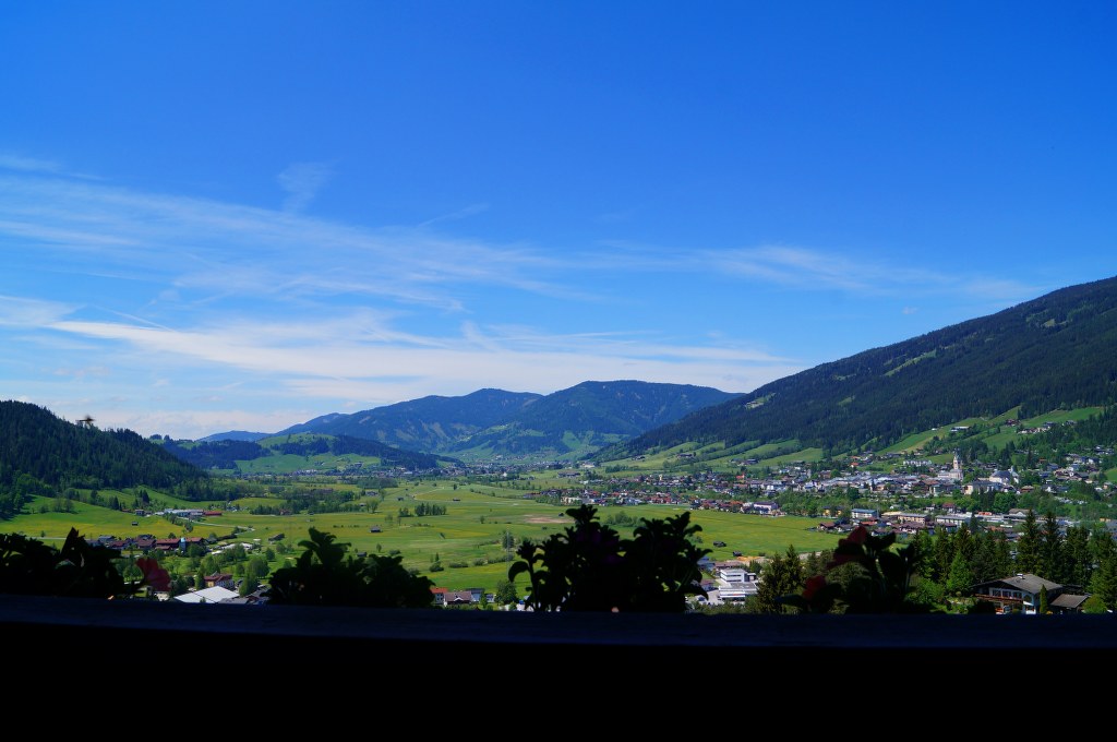 DSC01479_1024x680